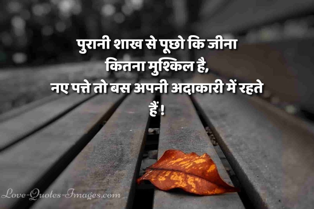 hindi status