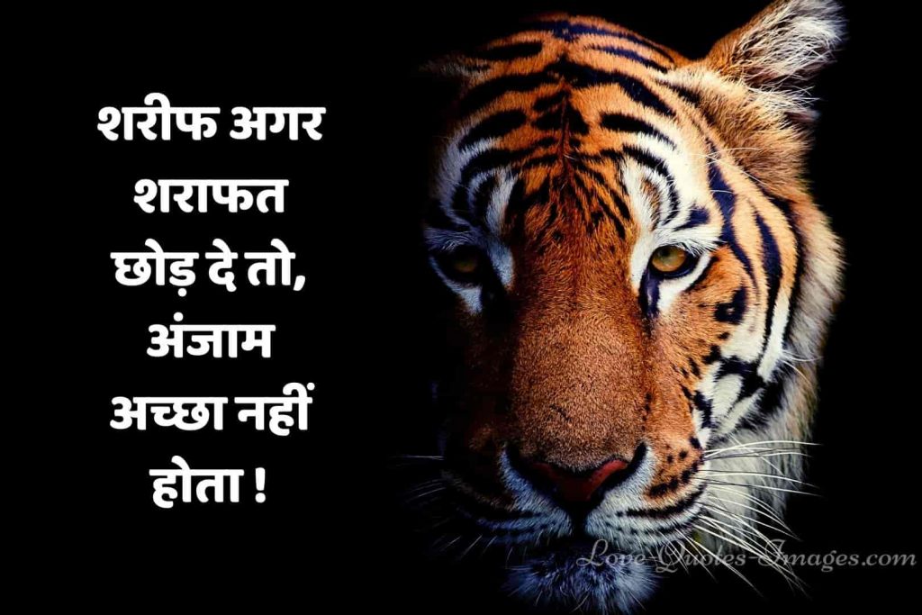 hindi status