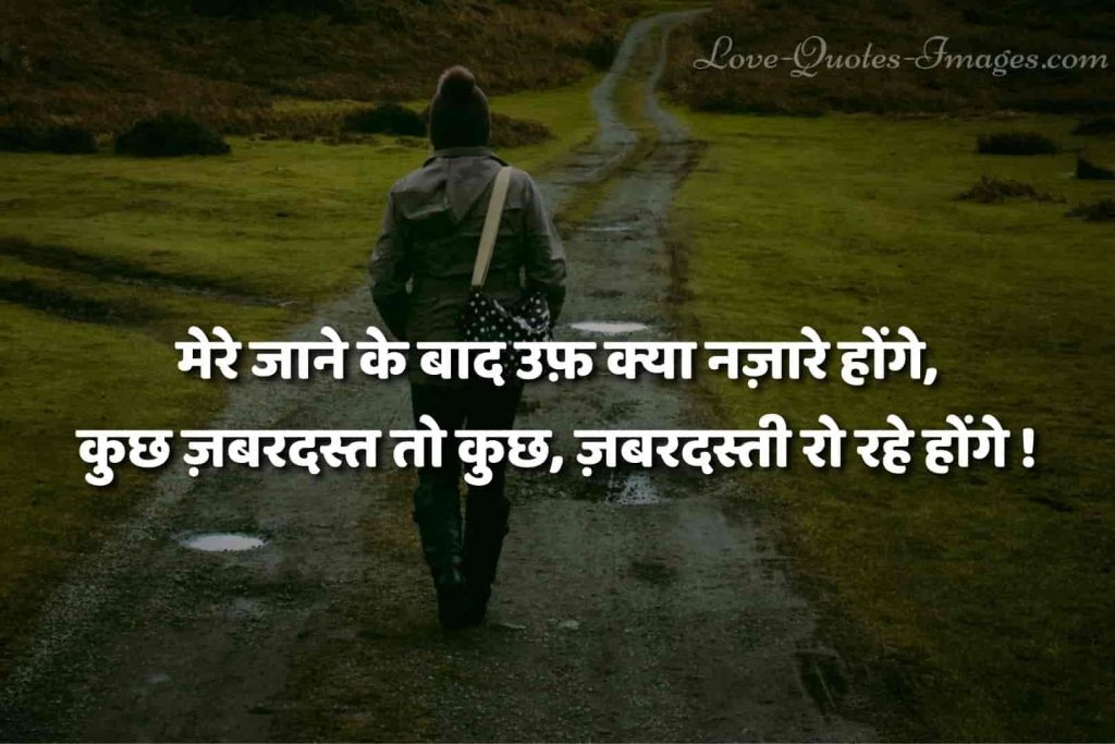 hindi status