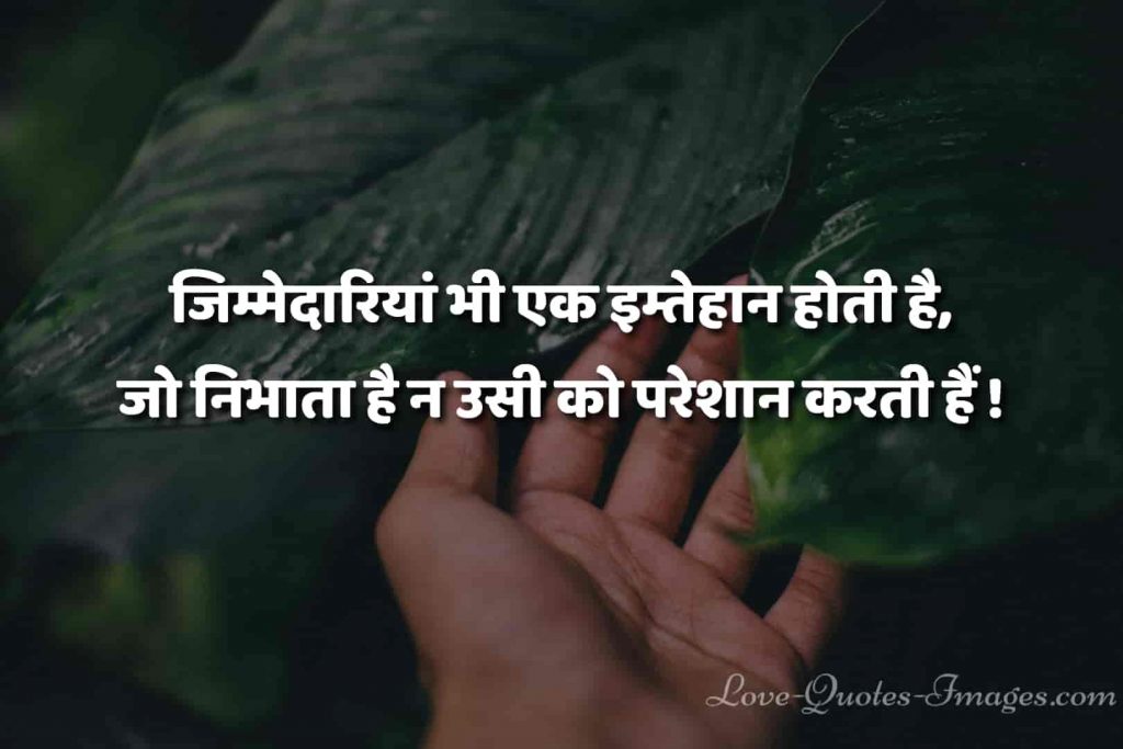hindi status
