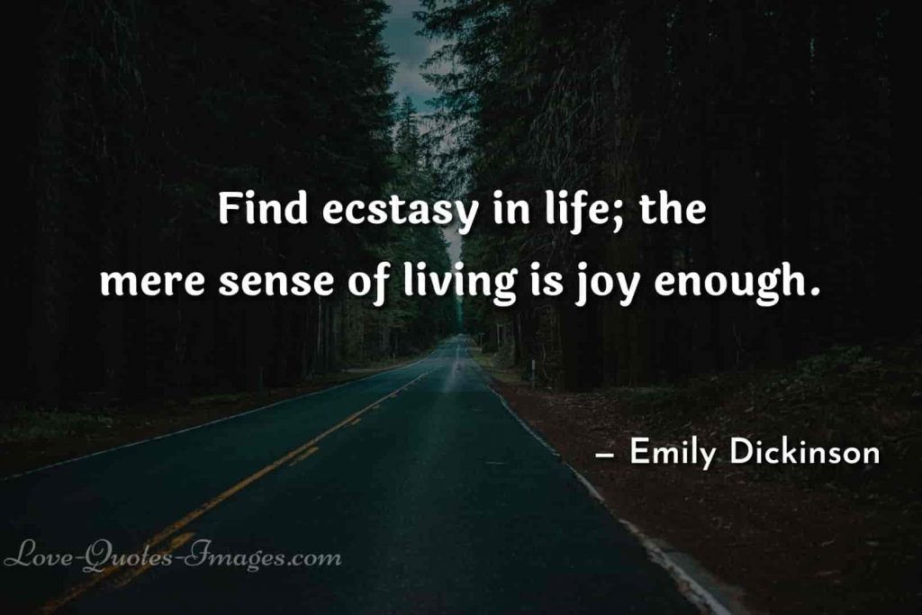 life is beautiful quotes