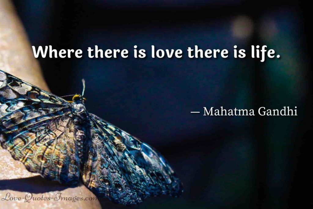 life is beautiful quotes
