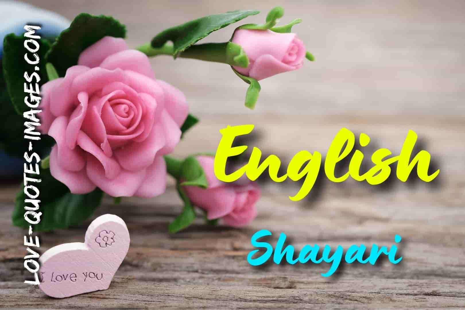 English Shayari 