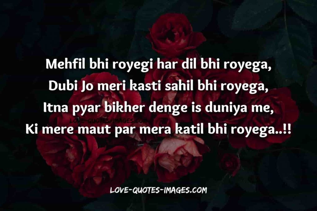 english shayari