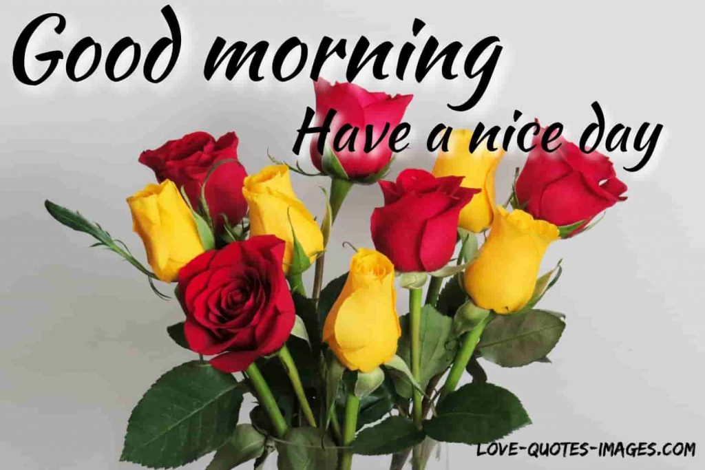 good morning images