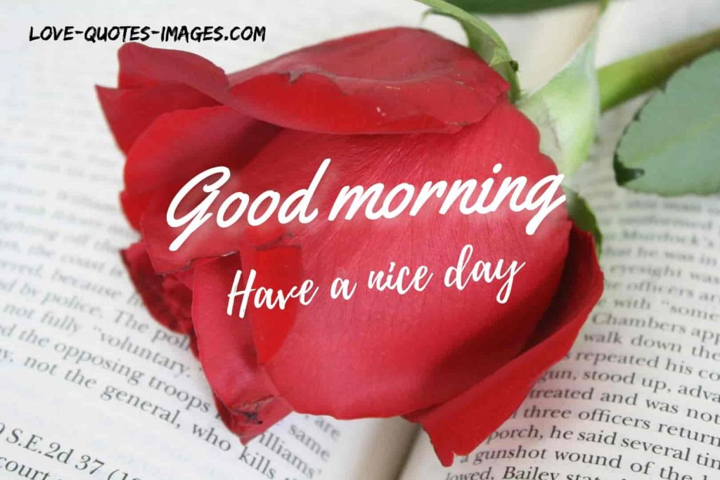 good morning images