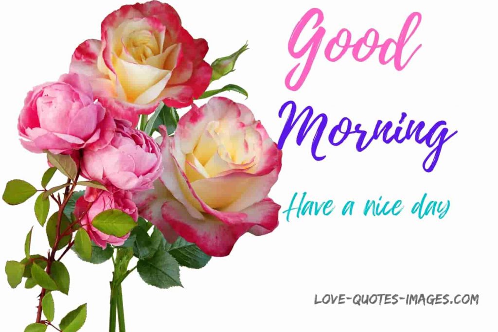 good morning images