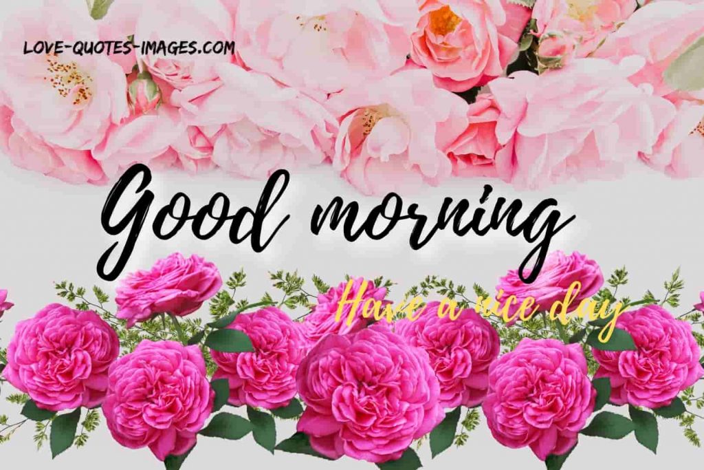 good morning images
