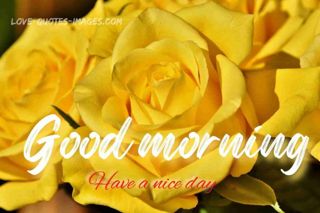 good morning images