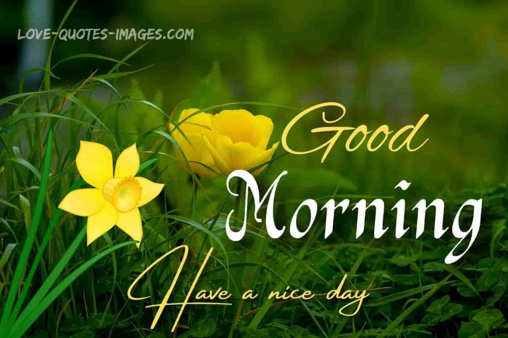 good morning images