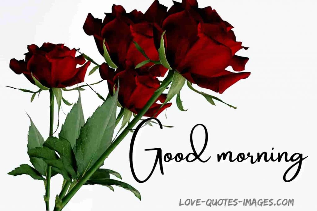 good morning images