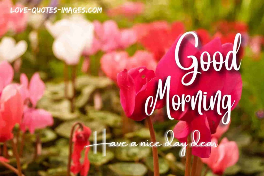 good morning images