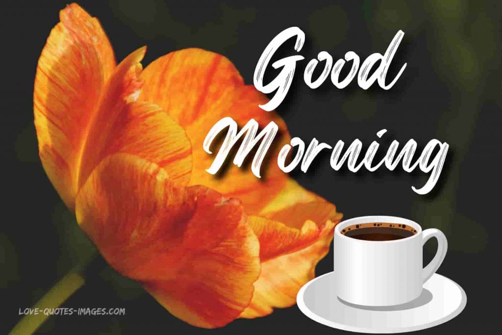 good morning images quotes