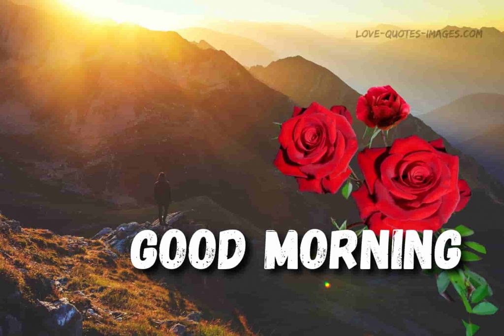 good morning images of nature