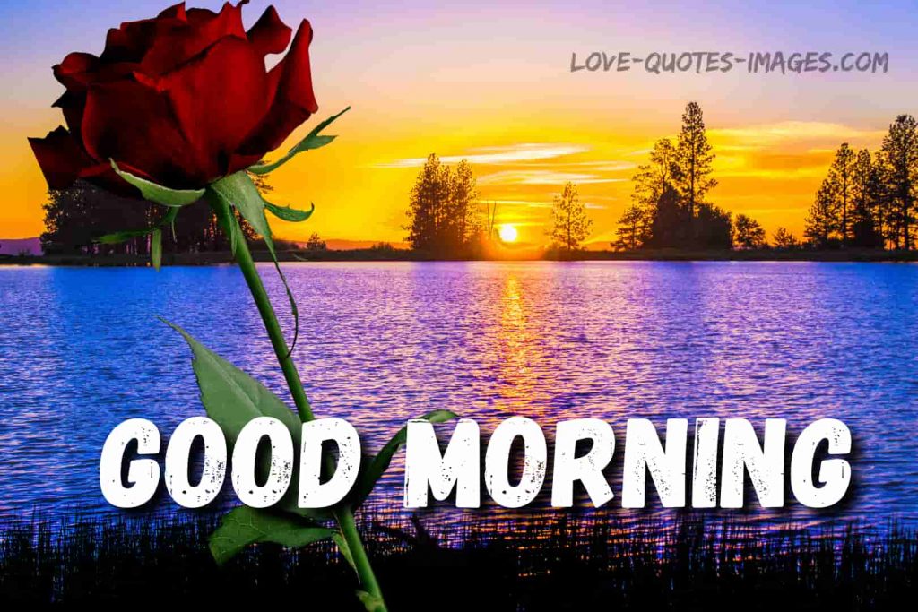 good morning images