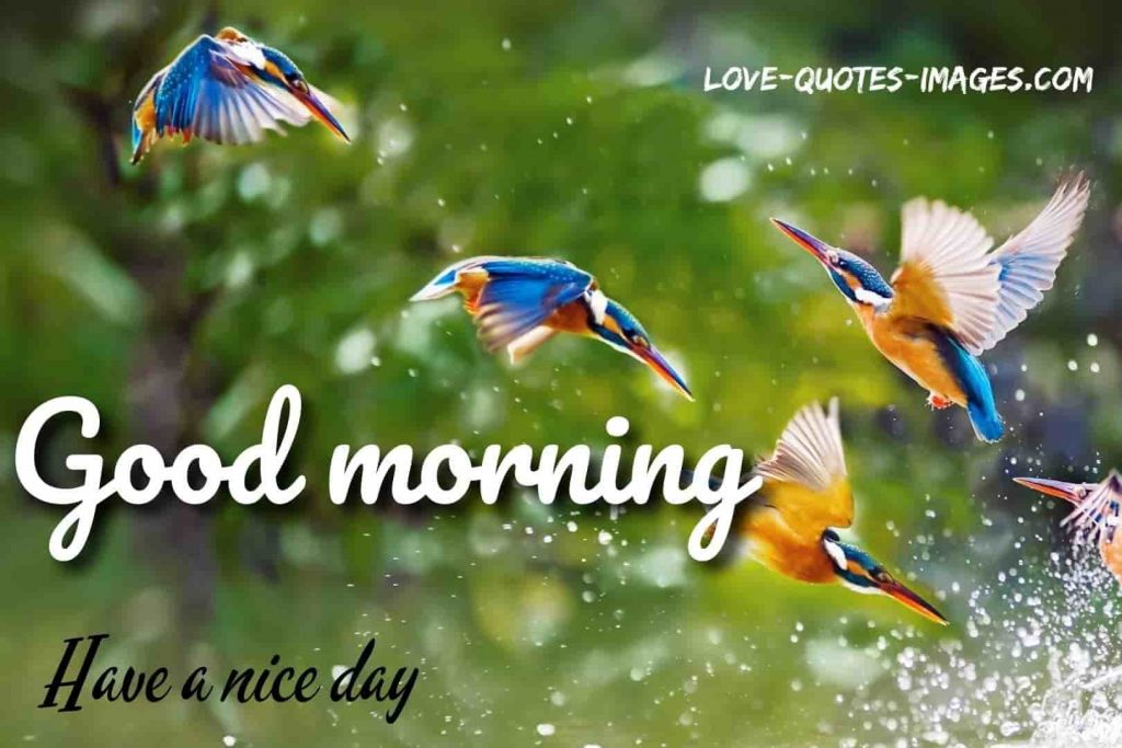 good morning images
