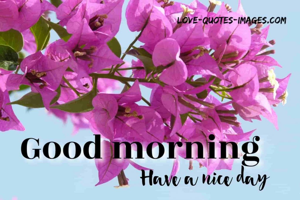good morning images