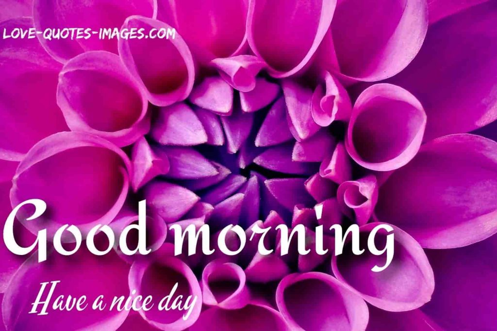 good morning images