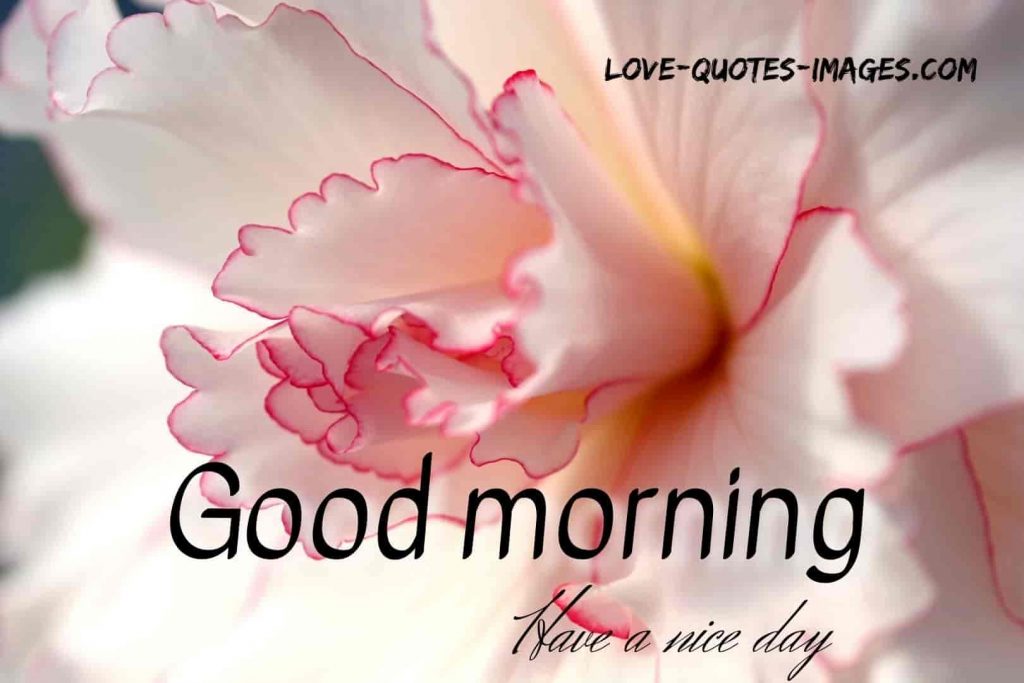 good morning images