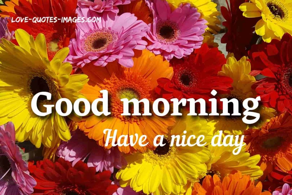 good morning images