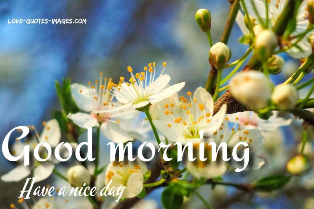 good morning images