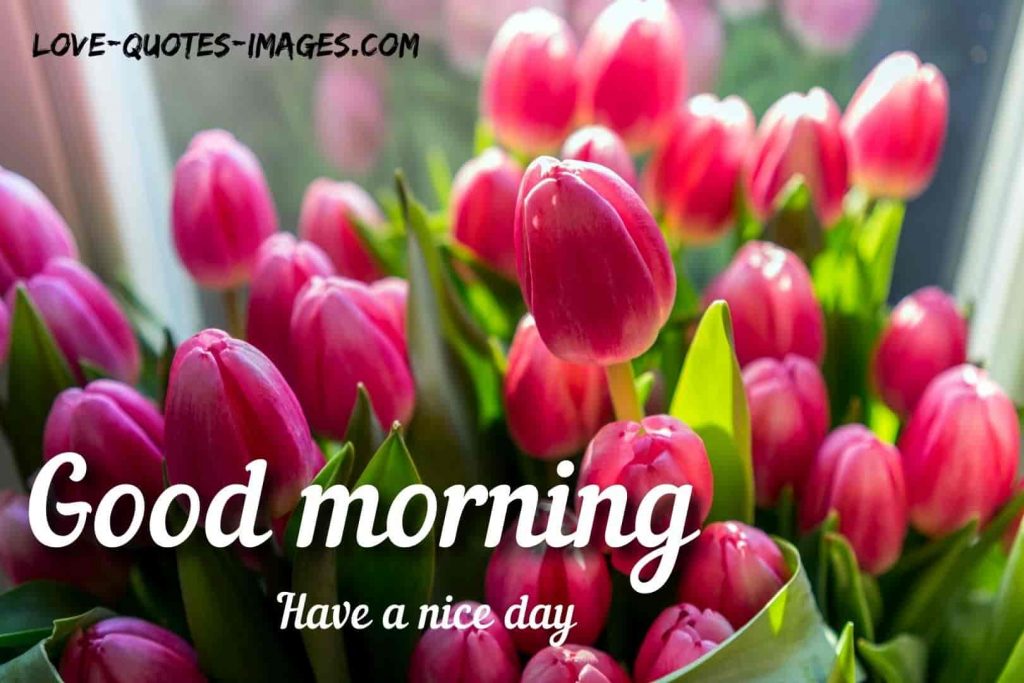 good morning images
