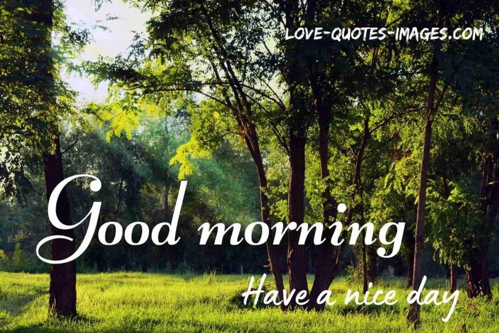 good morning images