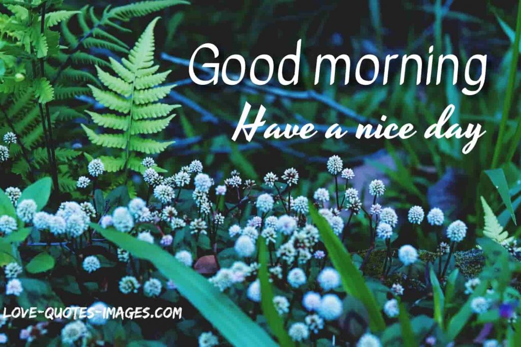 good morning images