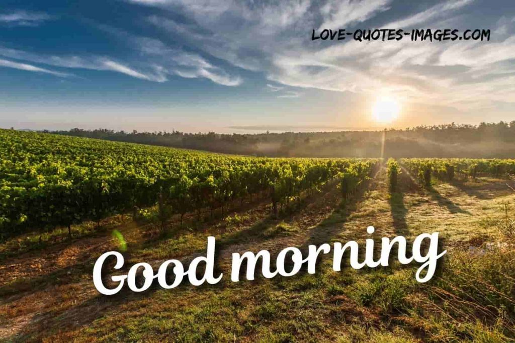 good morning images