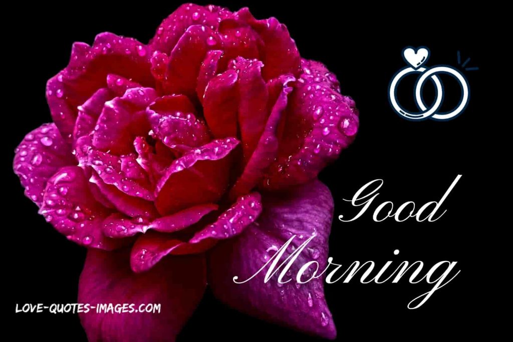 good morning images