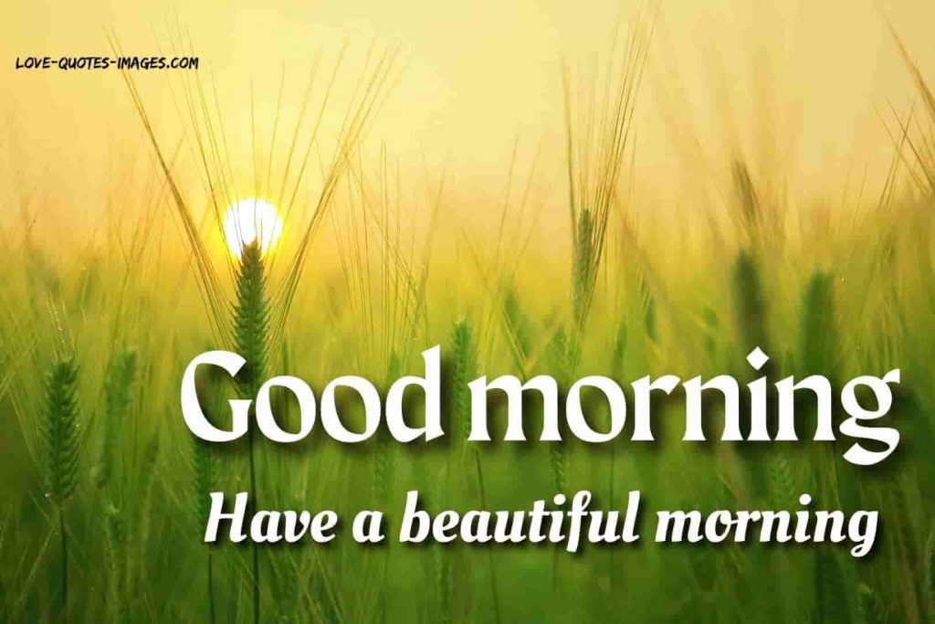 good morning images