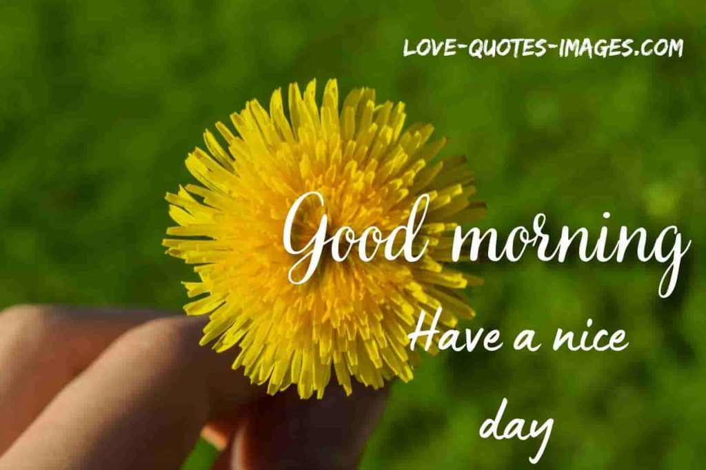 good morning images