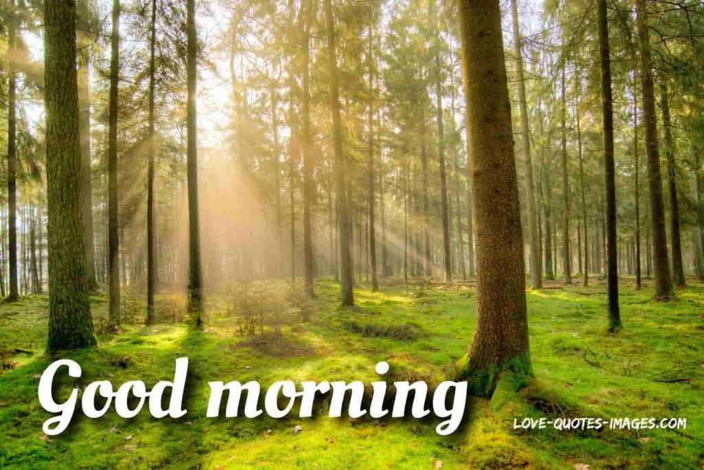 good morning images