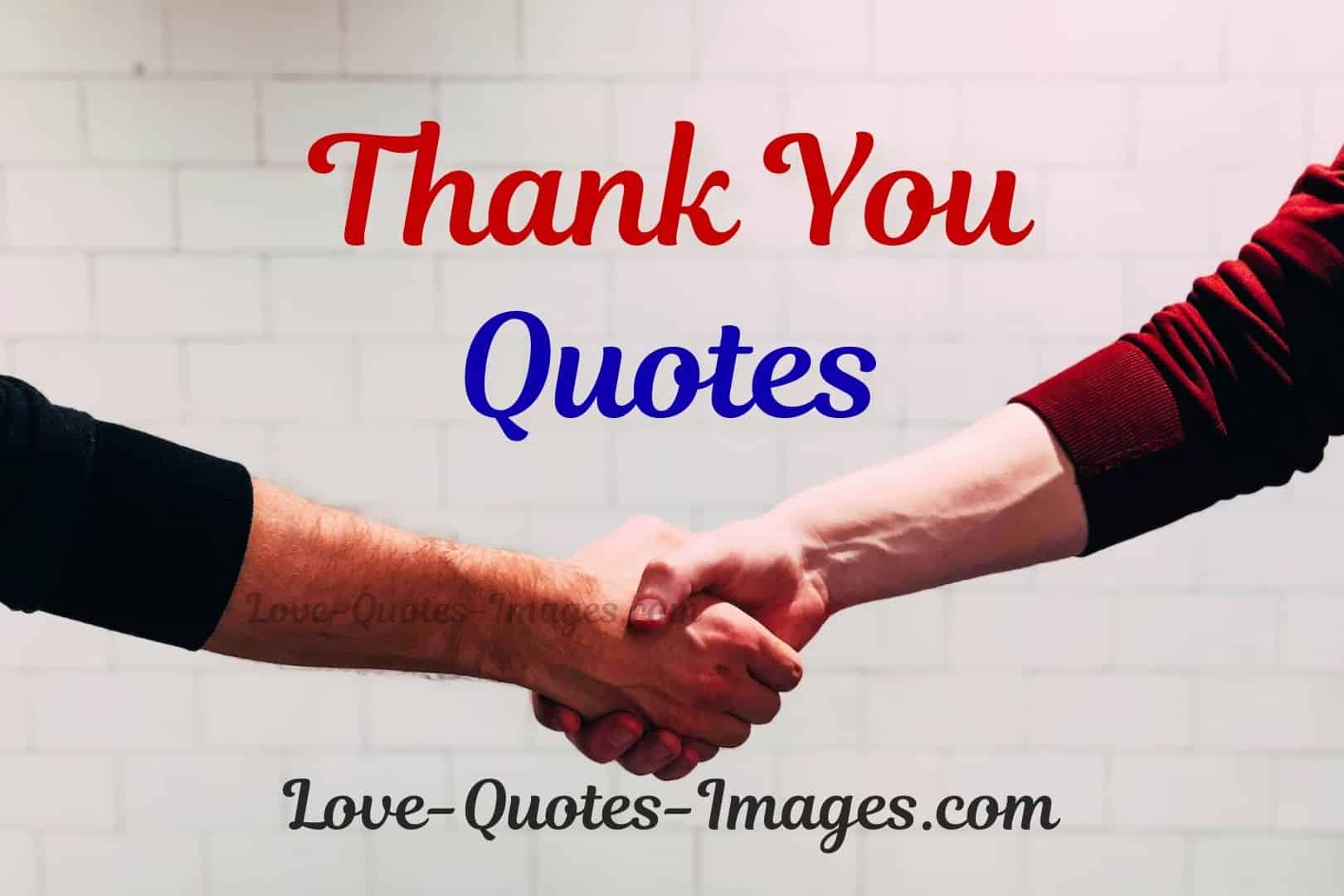 100+ Thank You Quotes And Sayings Images 2025 » Love Quotes Images